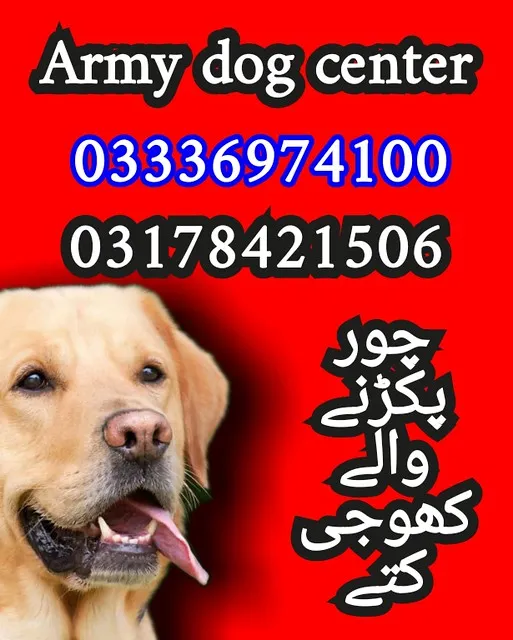 Army dog center 03178421506